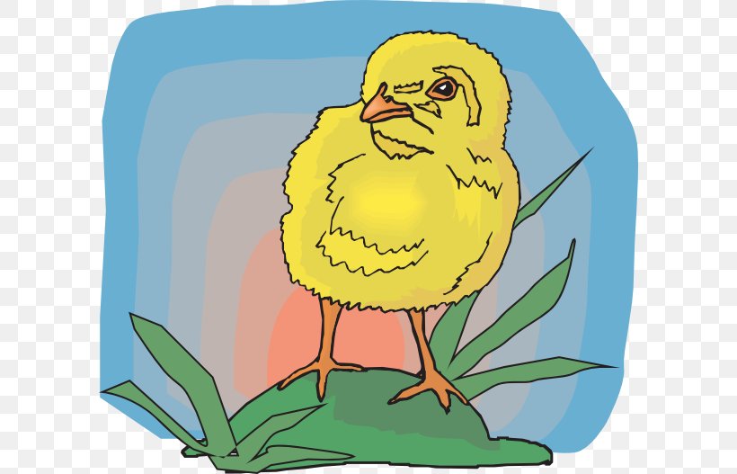 T-shirt Bird Beak Infant Clip Art, PNG, 600x527px, Tshirt, Art, Artwork, Beak, Bib Download Free