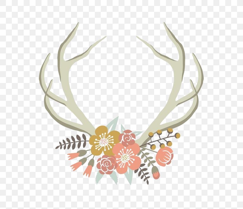 Deer Antler Horn Floral Design Clip Art, PNG, 564x705px, Deer, Antler, Art, Cut Flowers, Drawing Download Free