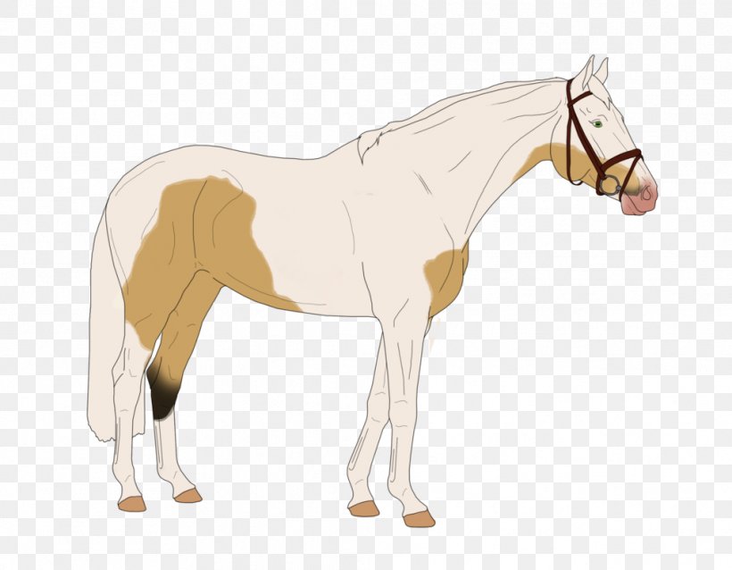Foal Mustang Mare Stallion Rein, PNG, 1013x789px, Foal, Animal Figure, Bridle, Cartoon, Colt Download Free