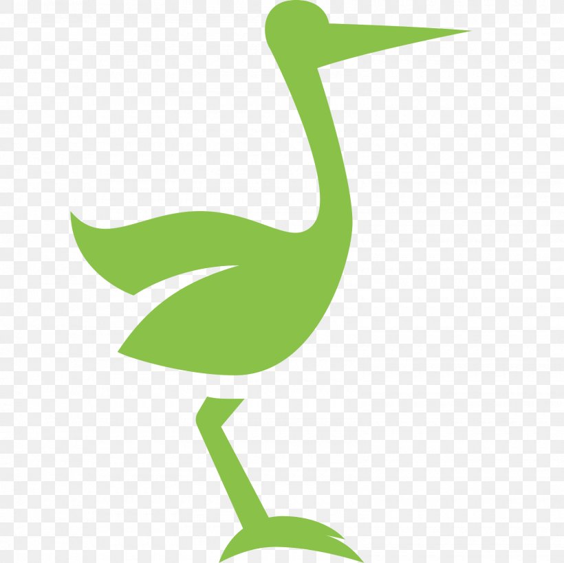 Goose Cygnini Duck Beak Anatidae, PNG, 1600x1600px, Goose, Anatidae, Beak, Bird, Ciconiiformes Download Free