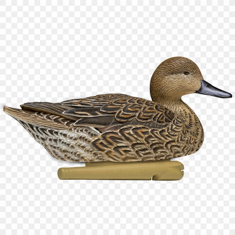 Mallard Duck Decoy Northern Pintail, PNG, 2000x2000px, Mallard, American Black Duck, Beak, Bird, Decoy Download Free