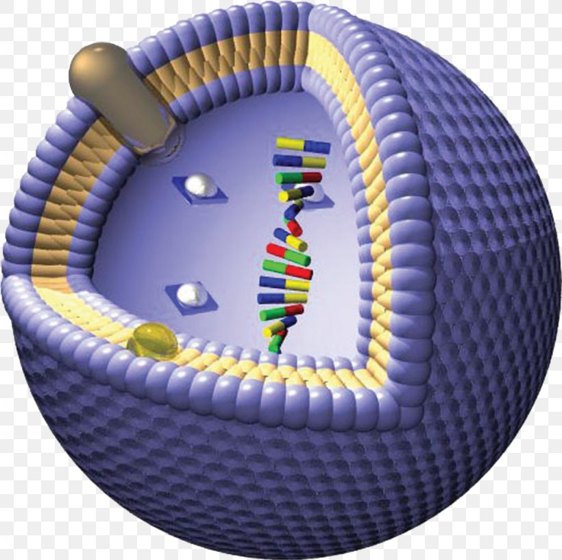 Market Generic Drug Lipid Generic Brand Service, PNG, 1024x1020px, Market, Avanti Polar Lipids, Bangladesh, Brand, Emerging Markets Download Free