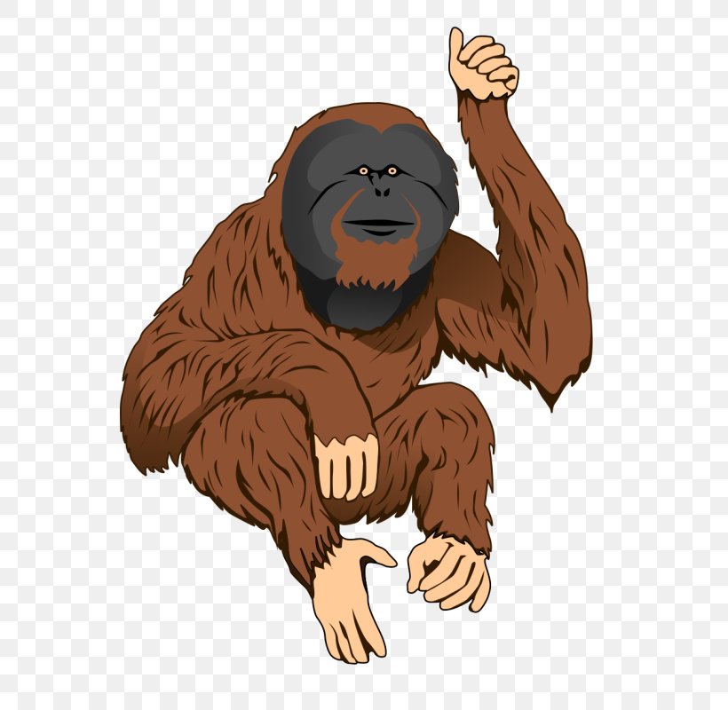 Ape The Orangutan Bornean Orangutan Clip Art, PNG, 684x800px, Ape, Art, Bear, Bonobo, Bornean Orangutan Download Free