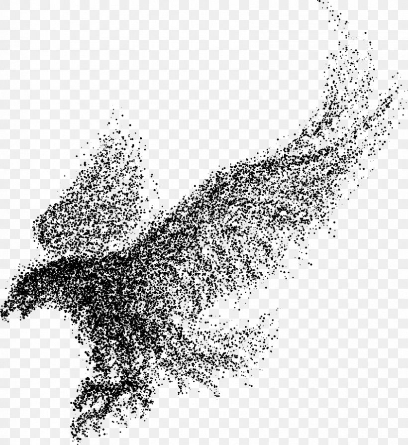 Bald Eagle Bird, PNG, 843x920px, Bald Eagle, Bird, Black, Black And White, Eagle Download Free