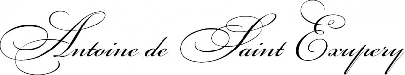 Brand Logo Line Font, PNG, 1195x223px, Brand, Black And White, Calligraphy, Diagram, Eyelash Download Free