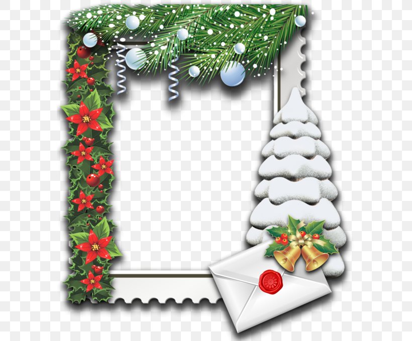 Christmas Ornament Christmas Tree Holiday Christmas Colors, PNG, 593x679px, Christmas, Aquifoliaceae, Christmas Card, Christmas Decoration, Christmas Gift Download Free