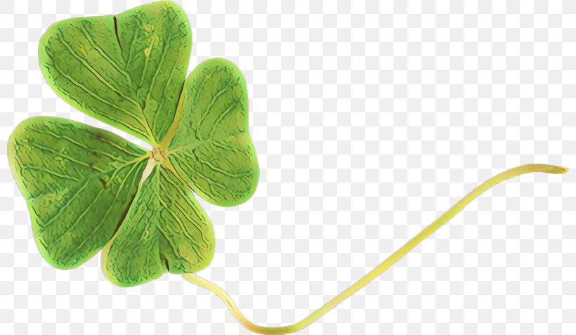 Green Leaf Background, PNG, 800x477px, Cartoon, Annual Plant, Centella Asiatica, Clover, Creeping Wood Sorrel Download Free