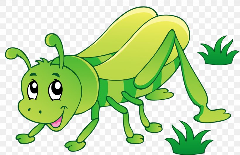 Insect Clip Art Vector Graphics Illustration Ant, PNG, 1600x1033px, Insect, Amphibian, Animal Figure, Ant, Artwork Download Free