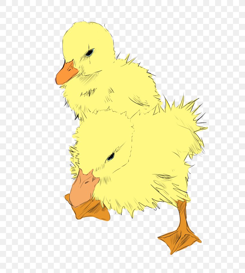 Duck Beak Feather Clip Art, PNG, 700x914px, Duck, Art, Beak, Bird, Chicken Download Free