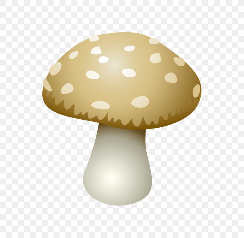 Edible Mushroom Shiitake Clip Art, PNG, 800x800px, Mushroom, Boletus Edulis, Botanical Illustration, Chanterelle, Common Mushroom Download Free