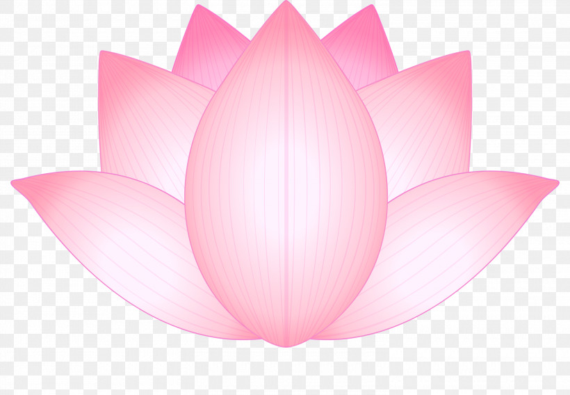 Lotus Flower, PNG, 3000x2079px, Lotus, Aquatic Plant, Flower, Lotus Family, Petal Download Free