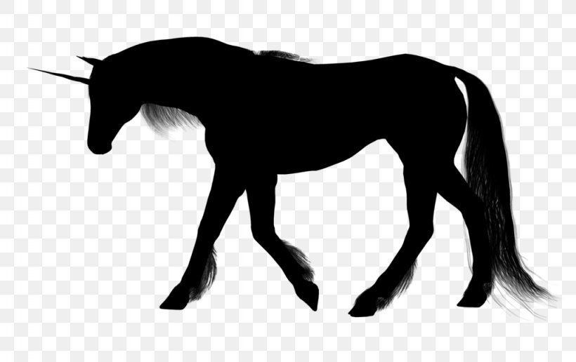 Mustang Mare Stallion Pony Halter, PNG, 1024x645px, Mustang, Animal Figure, Black M, Blackandwhite, Bridle Download Free