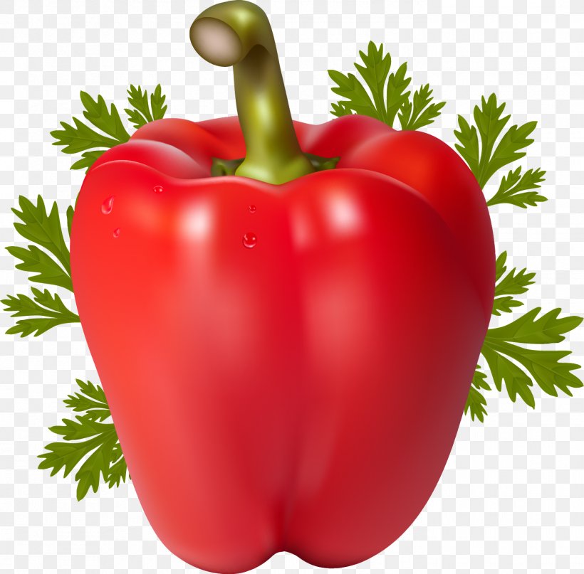 Tomato Chili Pepper Bell Pepper Vegetable Peppers, PNG, 1395x1374px, Tomato, Bell Pepper, Bell Peppers And Chili Peppers, Bush Tomato, Cayenne Pepper Download Free