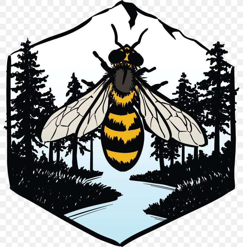 Honey Bee Beekeeper Beekeeping Beehive, PNG, 797x834px, Honey Bee, Bee, Bee Tree, Beehive, Beekeeper Download Free