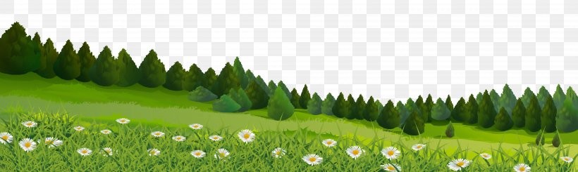 Lawn Clip Art, PNG, 8000x2395px, Lawn, Biome, Ecosystem, Energy, Field Download Free