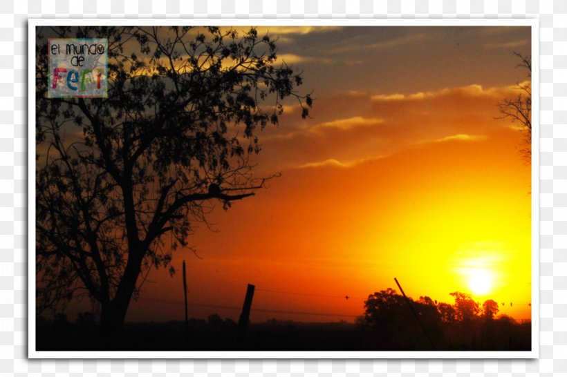 Sunrise Photography El Mundo Light Silhouette, PNG, 1181x787px, 2013, Sunrise, August, Computer, Dawn Download Free