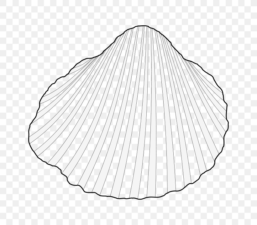 White Line Art Angle, PNG, 800x719px, White, Black And White, Drawing, Line Art, Monochrome Photography Download Free