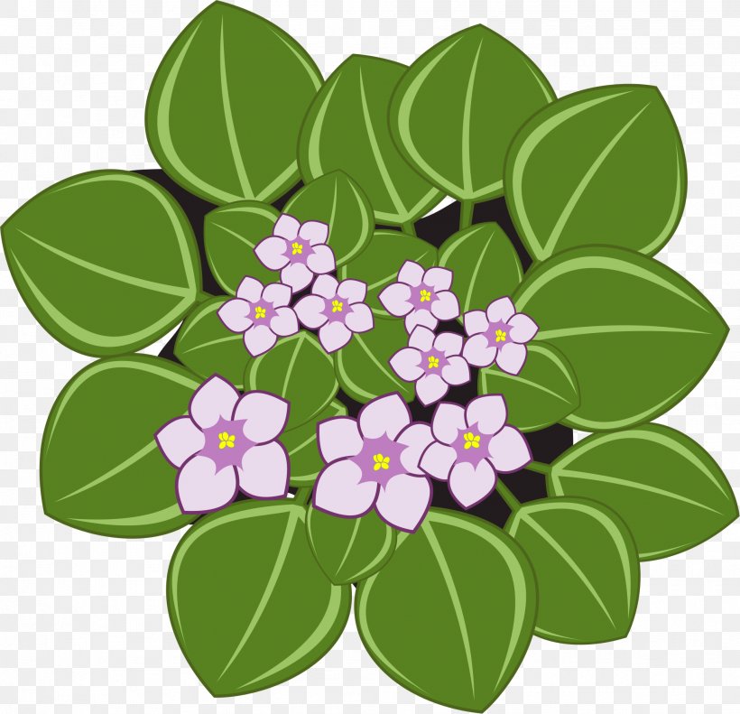 African Violets Clip Art Openclipart African Violet Society Of America Vector Graphics, PNG, 1981x1912px, African Violets, African Violet Society Of America, Common Blue Violet, Flora, Flower Download Free