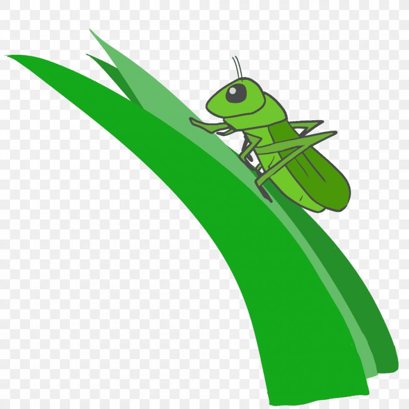 Caelifera Illustration Pterygota Clip Art Chinese Grasshopper, PNG, 1000x1000px, Caelifera, Amphibian, Character, Chinese Grasshopper, Fictional Character Download Free