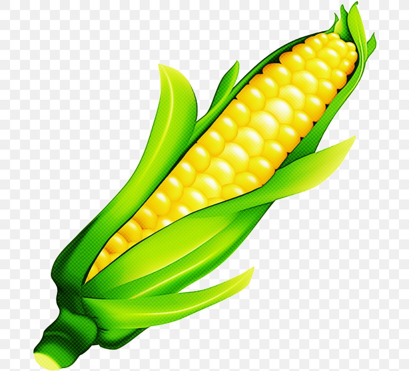 Candy Corn, PNG, 692x744px, Corn On The Cob, Baby Corn, Blue Corn, Candy Corn, Corn Download Free