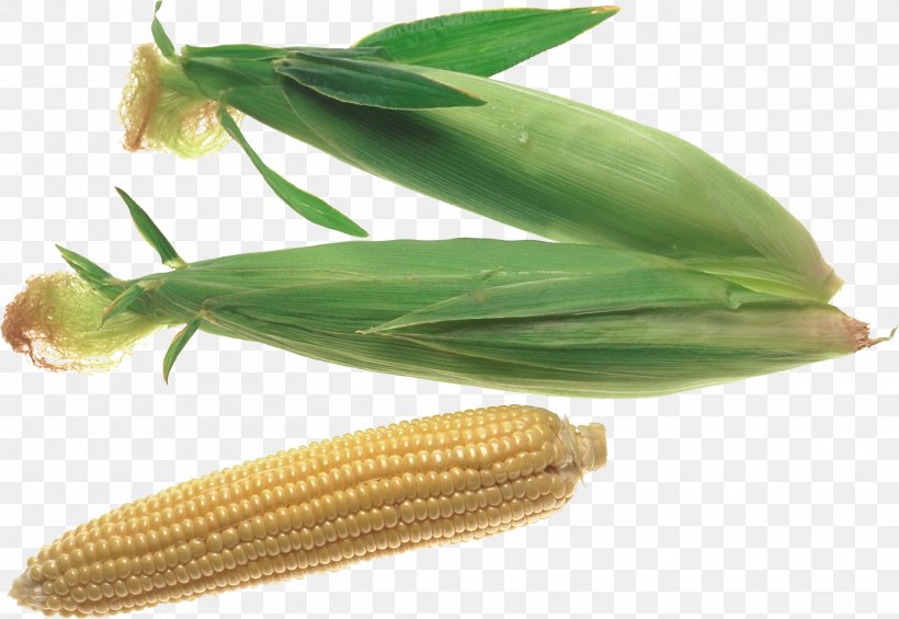 Corn On The Cob Maize Sweet Corn Clip Art, PNG, 2833x1955px, Corn On The Cob, Commodity, Food, Ingredient, Maize Download Free