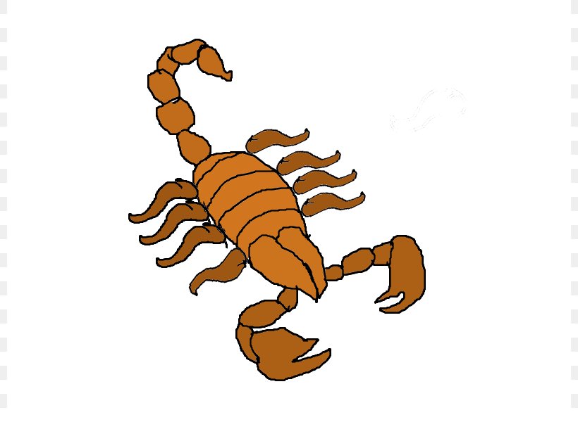 Scorpion cartoon