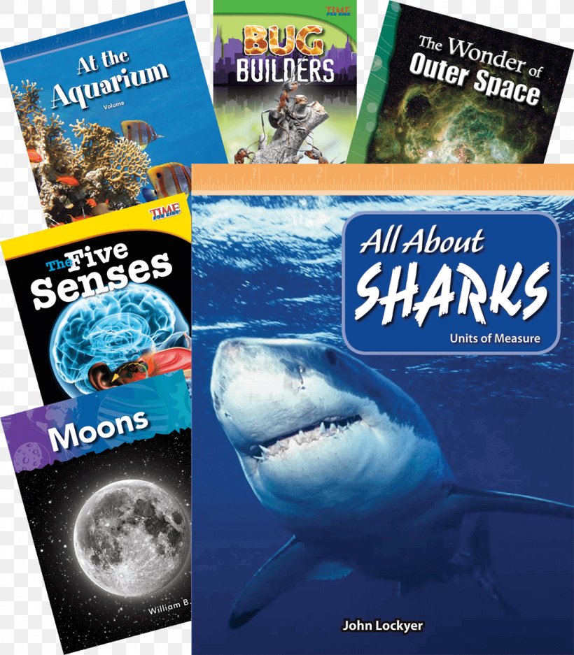 Shark Water Fish Advertising Marine Biology, PNG, 1050x1200px, Shark, Advertising, Biology, Book, Brand Download Free