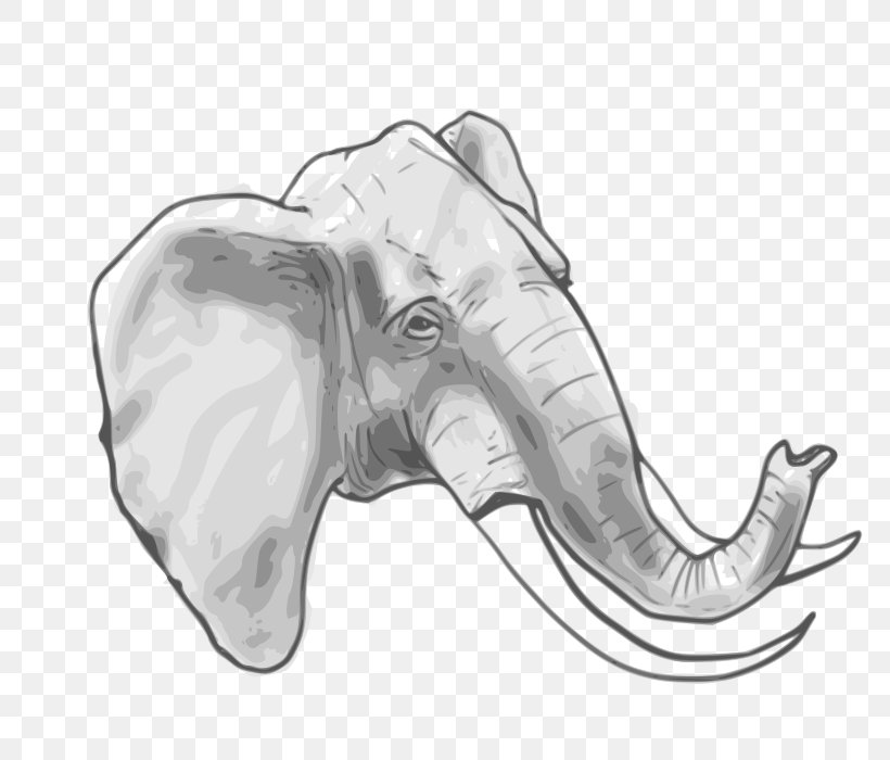African Elephant Indian Elephant Elephantidae Clip Art, PNG, 800x700px, African Elephant, Artwork, Autocad Dxf, Black And White, Bone Download Free