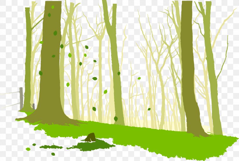 Euclidean Vector, PNG, 2244x1517px, Forest, Branch, Cartoon, Computer Graphics, Designer Download Free