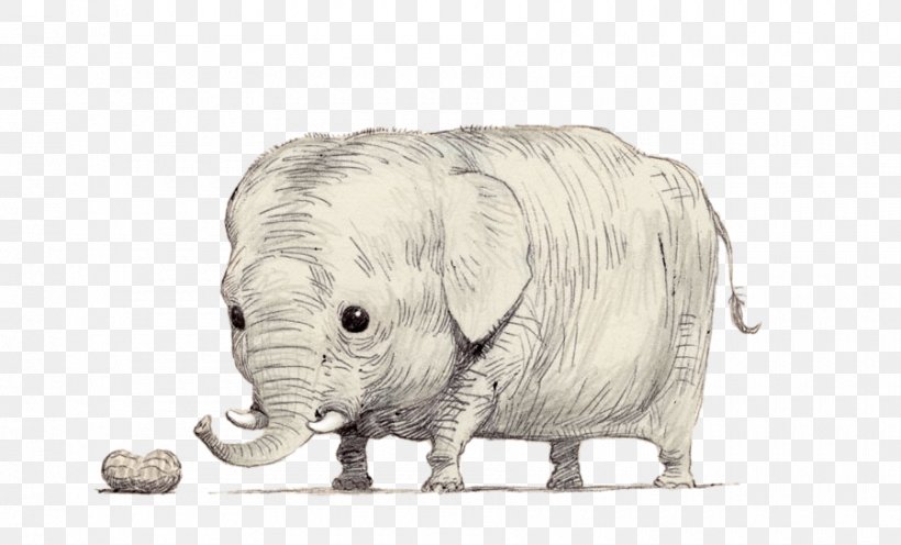 Rhinoceros Riding An Elephant Shooting An Elephant Illustration, PNG, 900x545px, Watercolor, Cartoon, Flower, Frame, Heart Download Free