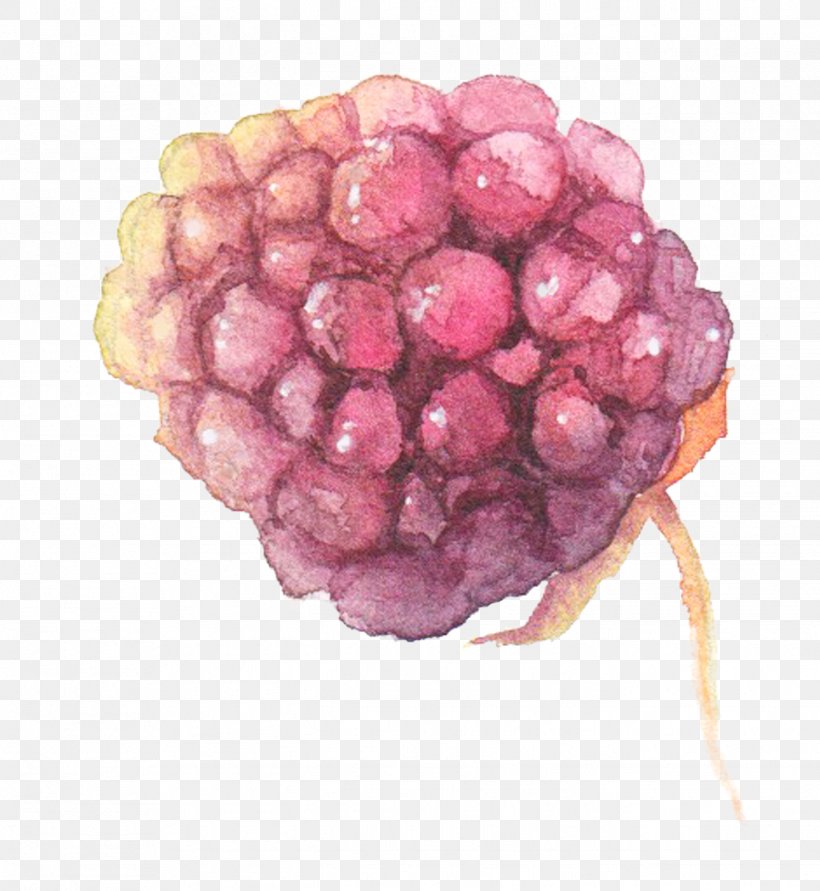 Watercolor Painting Grape, PNG, 1344x1462px, Watercolor Painting, Berry, Designer, Food, Fruit Download Free