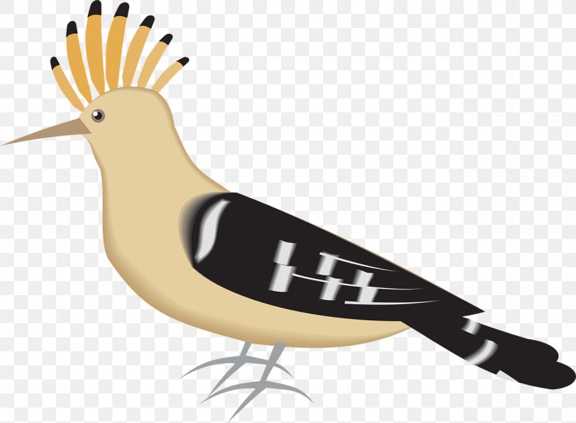 Bird Hoopoe Drawing Clip Art, PNG, 1280x940px, Bird, Art, Beak, Drawing, Fauna Download Free