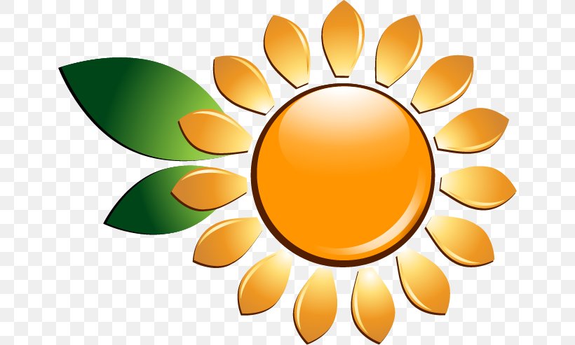 Common Sunflower Euclidean Vector, PNG, 654x493px, Common Sunflower, Drawing, Flower, Fruit, Orange Download Free