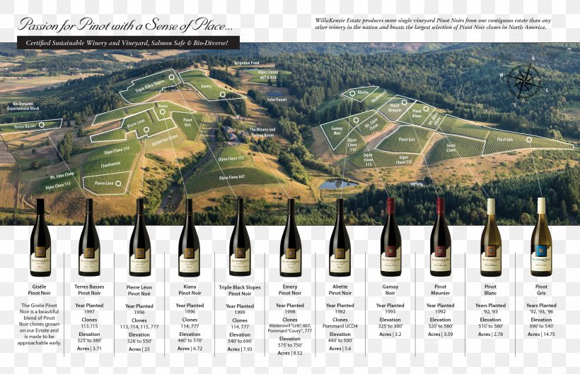 WillaKenzie Estate Pinot Noir Oregon Wine Willamette Valley Vineyards, PNG, 2550x1651px, Pinot Noir, Common Grape Vine, Land Lot, Map, Oregon Download Free