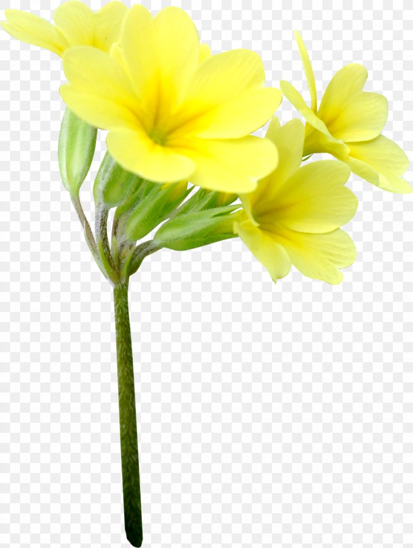 Cut Flowers Floristry Yellow Petal, PNG, 963x1280px, Flower, Amaryllis Family, Art Blog, Artificial Flower, Blog Download Free