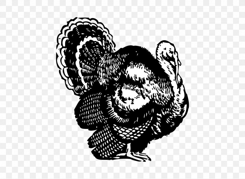 Turkey Meat Drawing Clip Art, PNG, 2160x1584px, Turkey, Art, Black And White, Domesticated Turkey, Drawing Download Free