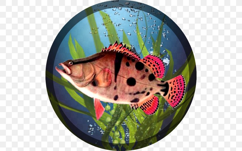 Fishing PRO Rapala Fishing: Daily Catch Android Angling, PNG, 512x512px, Android, Angling, Fish, Fishing, Game Download Free