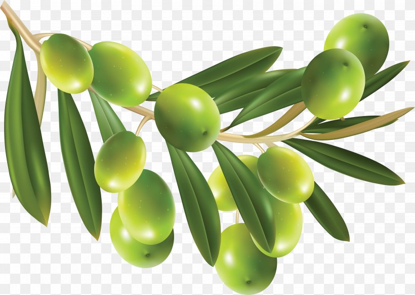 Olive Clip Art, PNG, 3512x2494px, Olive, Cdr, Food, Fruit, Olive Leaf Download Free