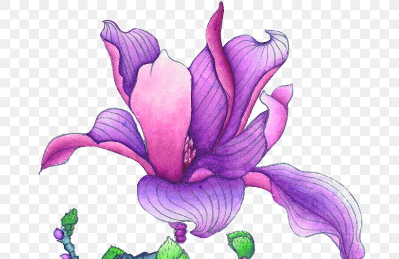 Violet Euclidean Vector Flower, PNG, 719x533px, Violet, Art, Bauhinia