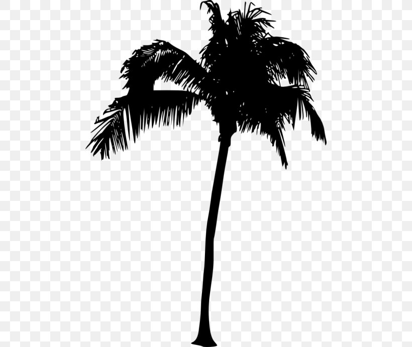 Asian Palmyra Palm Arecaceae Silhouette Sabal Palm Tree, PNG, 480x691px, Asian Palmyra Palm, Arecaceae, Arecales, Black And White, Borassus Flabellifer Download Free
