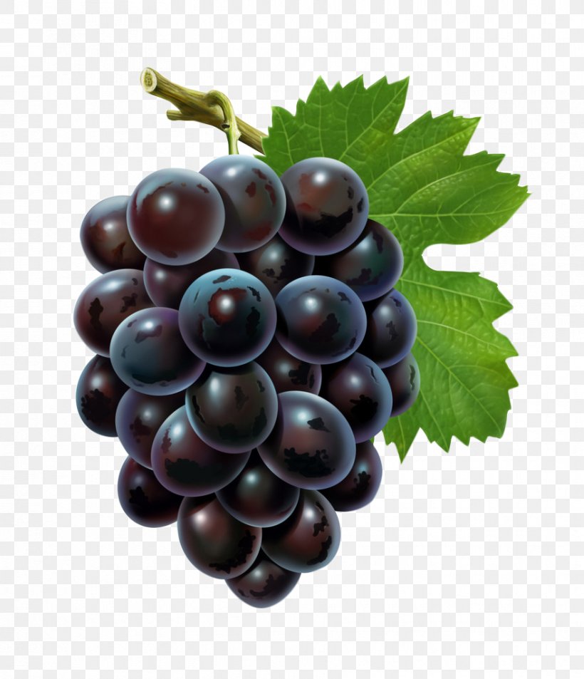 Grape Seed Extract Flavor Fruit, PNG, 881x1024px, Grape Seed Extract, Apple, Auglis, Berry, Blackberry Download Free
