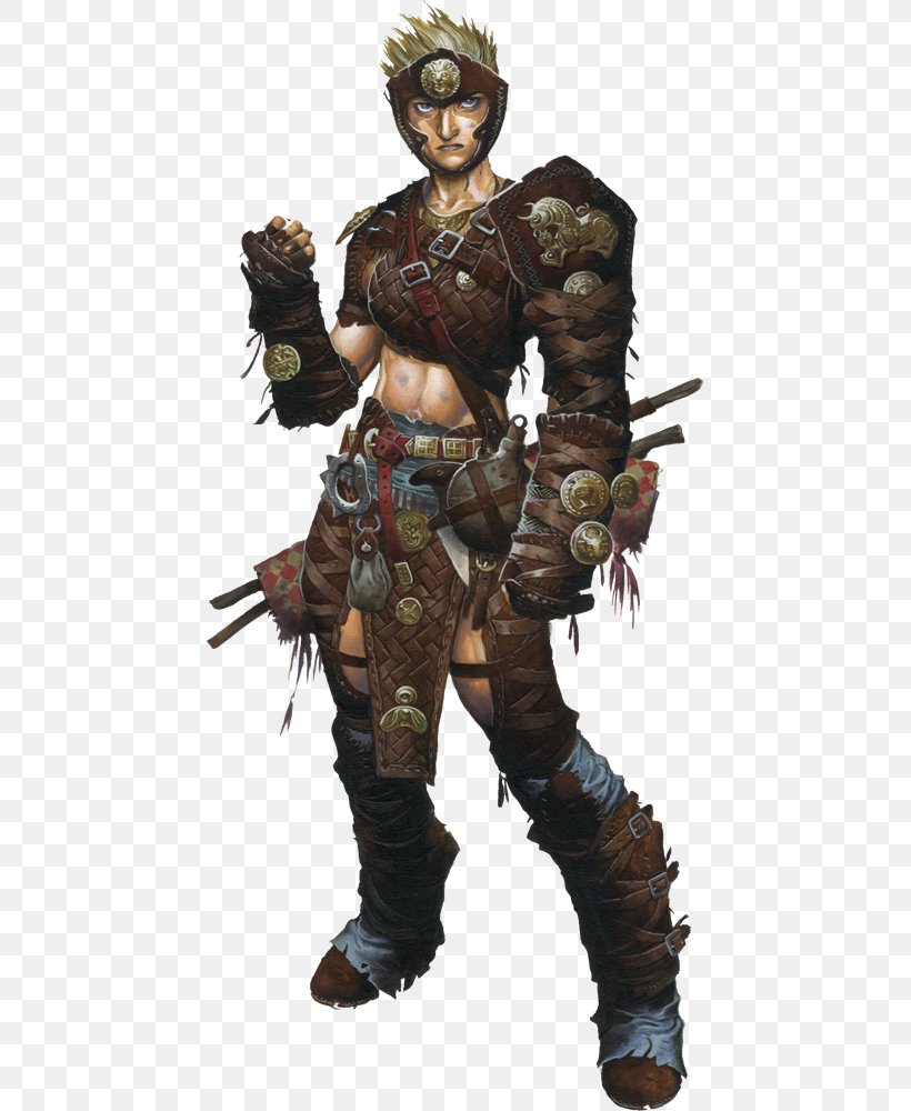 Pathfinder Roleplaying Game Dungeons & Dragons Role-playing Game D20 System Warrior, PNG, 447x1000px, Pathfinder Roleplaying Game, Action Figure, Armour, Barbarian, D20 System Download Free