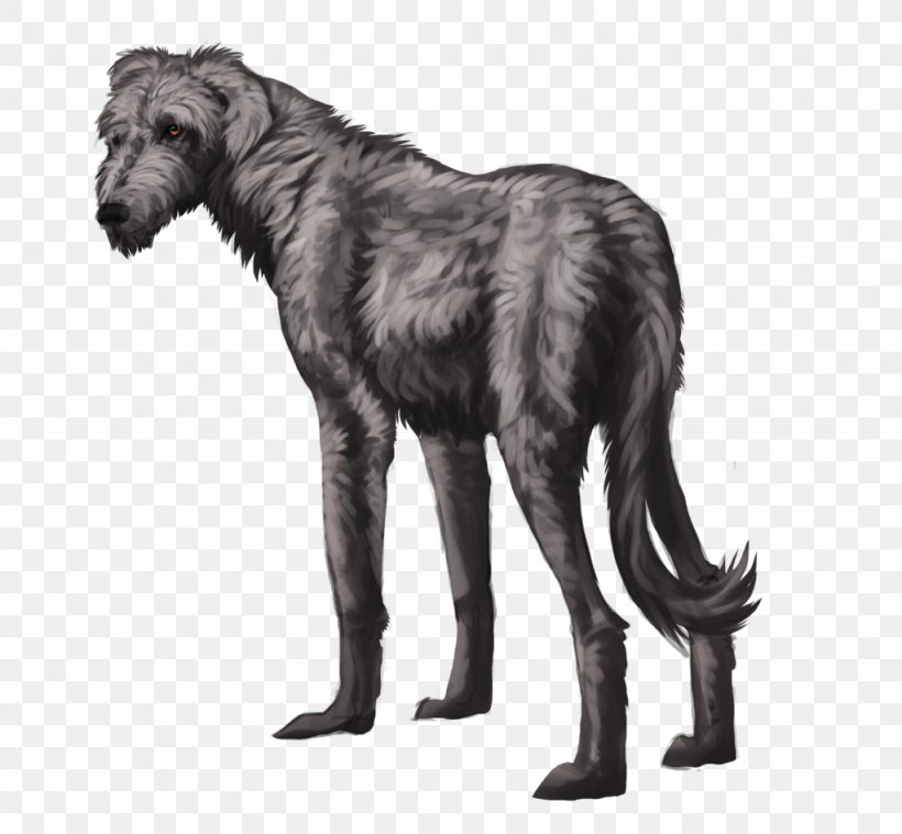 Scottish Deerhound Gray Wolf Irish Wolfhound DeviantArt Drawing, PNG, 1024x948px, Watercolor, Cartoon, Flower, Frame, Heart Download Free