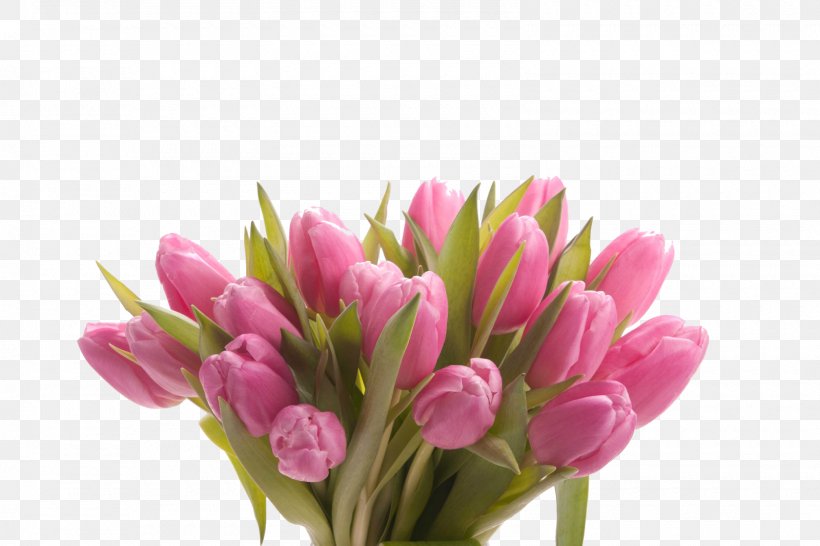 Tulip Cut Flowers Mother's Day Flower Bouquet, PNG, 1600x1067px, Tulip, Blossom, Bud, Cut Flowers, Floristry Download Free