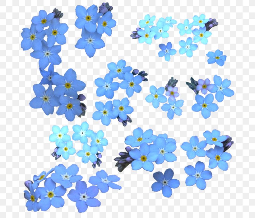 Water Forget-Me-Not Clip Art, PNG, 700x700px, Water Forgetmenot, Art, Blue, Body Jewelry, Borage Family Download Free