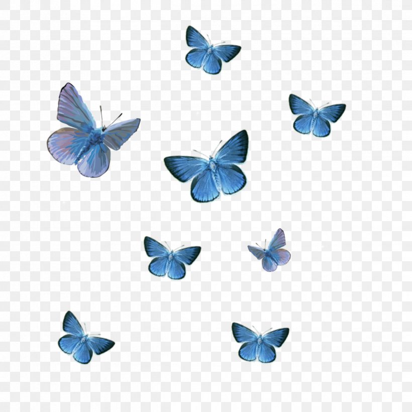 Butterfly Clip Art Wanna One Image, PNG, 1242x1242px, Butterfly, Blue, Borboleta, Insect, Invertebrate Download Free