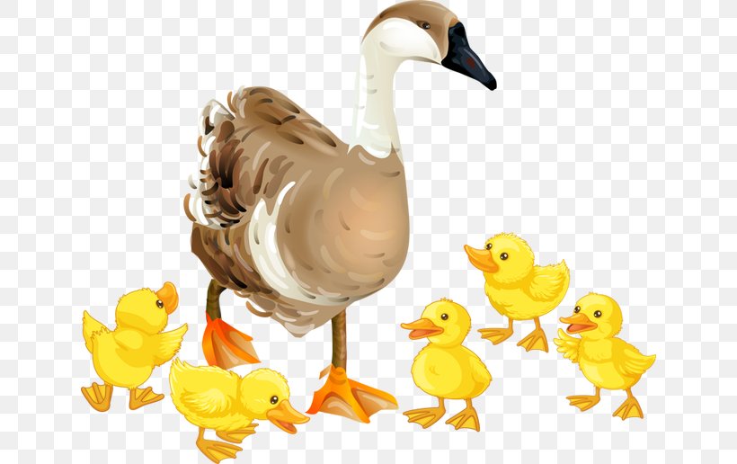 Domestic Goose Clip Art, PNG, 640x516px, Goose, Animal Figure, Beak, Bird, Can Stock Photo Download Free