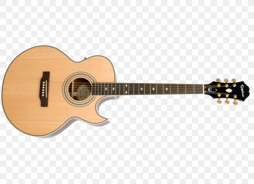 Epiphone PR5-E Acoustic-Electric Guitar Acoustic Guitar, PNG, 1100x800px, Watercolor, Cartoon, Flower, Frame, Heart Download Free
