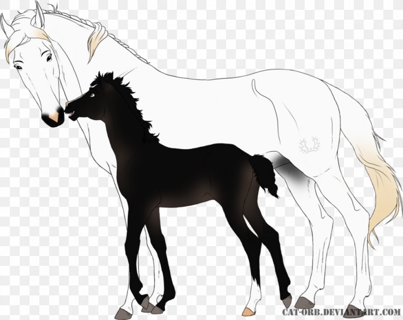 Mustang Trakehner Stallion Foal Mare, PNG, 1003x796px, Mustang, Bit, Bridle, Colt, Deer Download Free