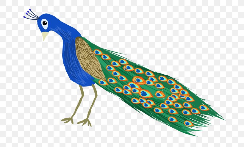 Peafowl Illustration Phasianidae Feather Bird, PNG, 700x494px, Peafowl, Art, Beak, Bird, Campervans Download Free